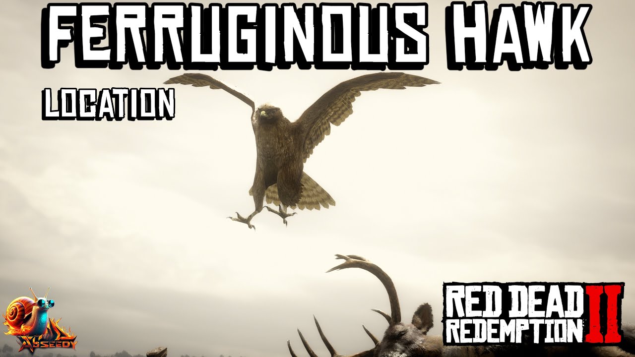 Ferruginous Hawk Location - Red Dead Redemption 2