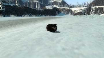 MAXWELL THE CAT gmod version NextBots
