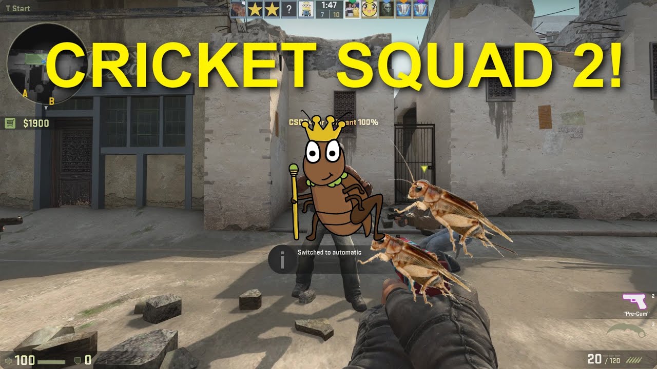 CS:GO - Cricket Squad 2 - YouTube