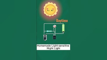 Light Sensitive Night Lights | Electrical Light control #viral #electrical #night #light