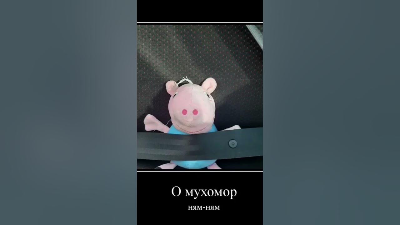 мухамор - YouTube