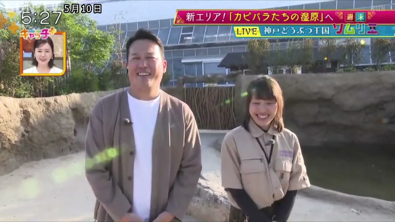 【週末ソムリエ】開園10周年 神戸どうぶつ王国に新エリア！「カピバラたちの湿原」へ