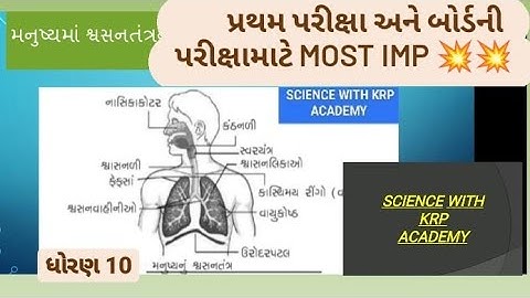 #std10 #science ch :06// જૈવિક ક્રિયા / મનુષ્યમાં શ્વસનતંત્ર સમજાવો../most imp/ 💥2022પ્રથમ પરીક્ષા