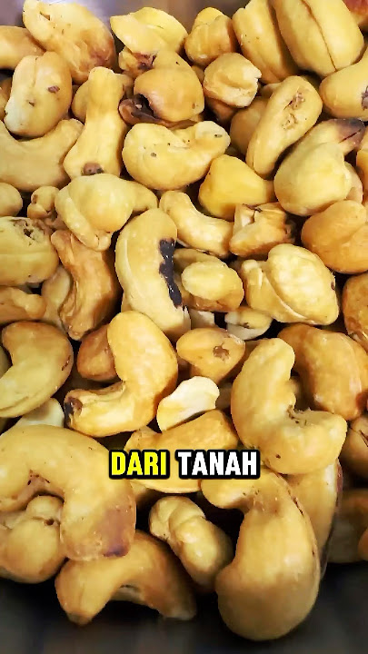 Nuts from the fruit #cashewnuts #uniquefacts