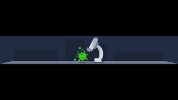 Basic Dynamic Analysis TryHackMe