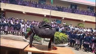 Download lagu August 13, 2023