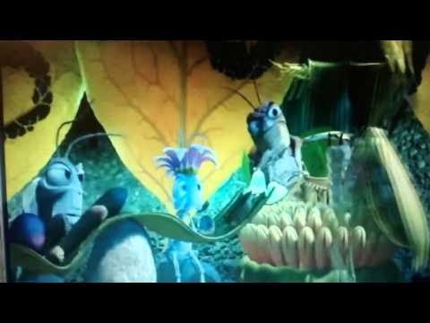 Bug's life - circus and the grasshopper's