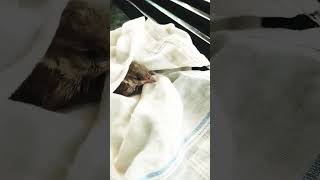 20 September 2025 Resimi