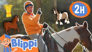 Giddy Up Cowboy Blippi 🐎 Blippi Educational Kids Videos | Learn About Animals | After School Club