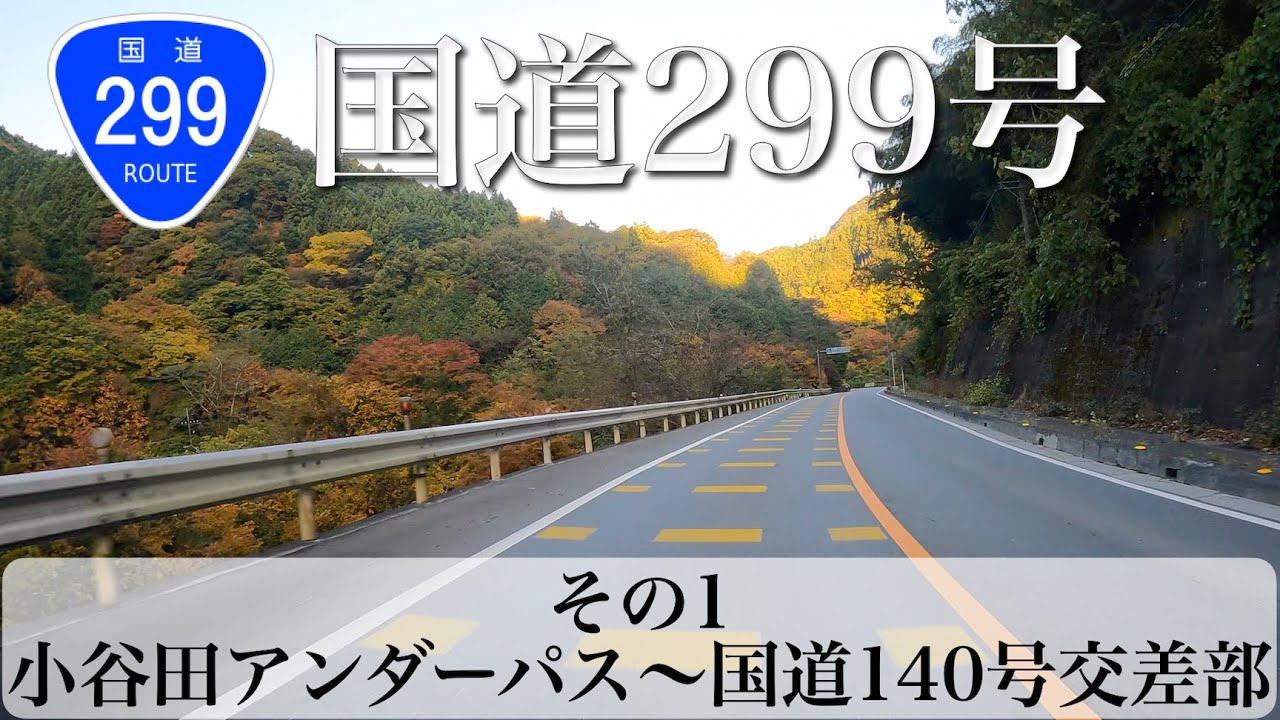 国道299号 全線走破！その1 (小谷田のアンダーパス〜国道140号との交点) [4K/車載動画]
