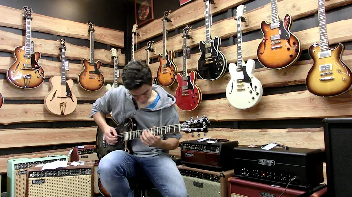 FGN Guitars Expert Flame Flamed Top Transparent Black Sunburst von Rockland Music