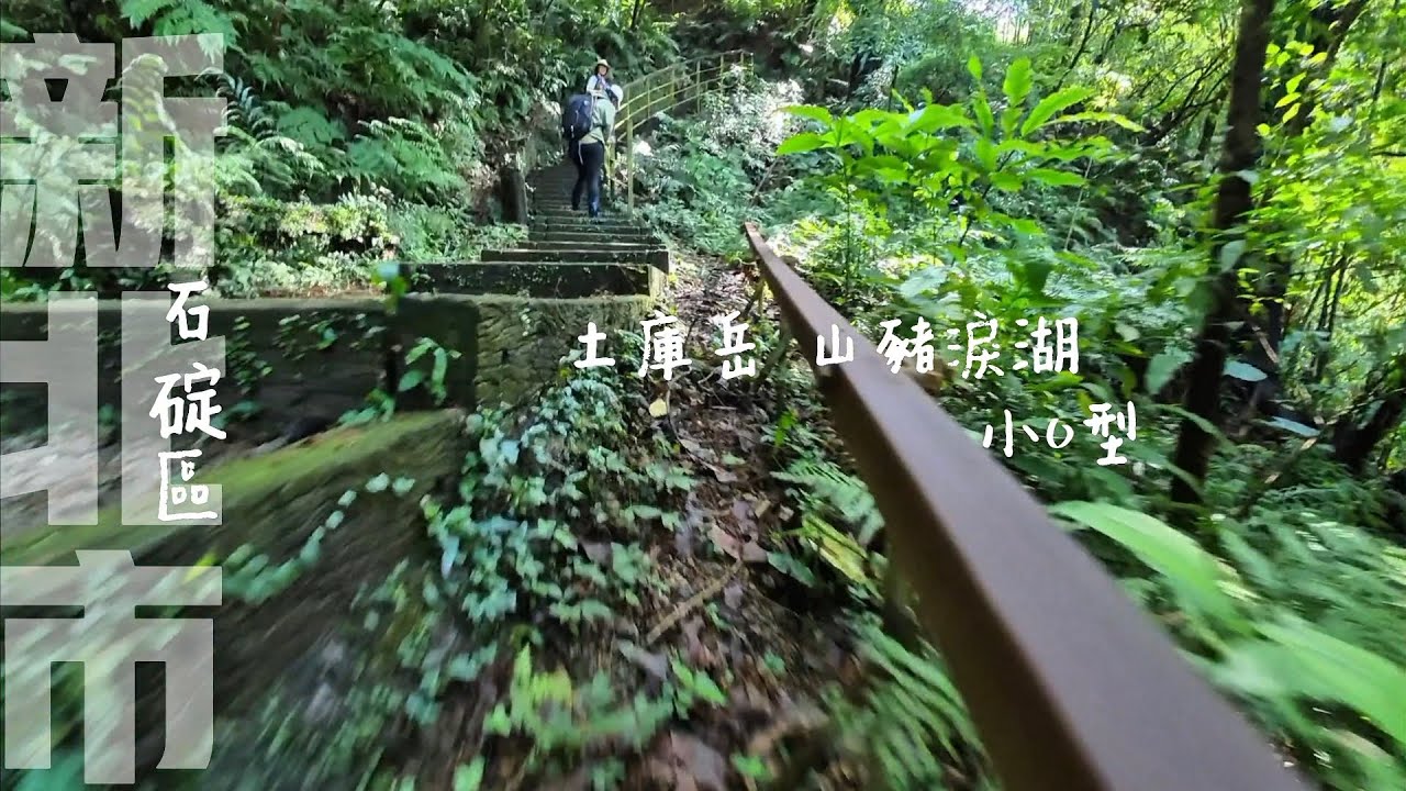 【土庫岳 山豬淚湖O型】親民好走路線-台北親山步道 適合新手健行 小橋流水 | 探訪古厝 | 生態豐富