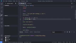 Debugging with VS Code - Launch currently open script configuration