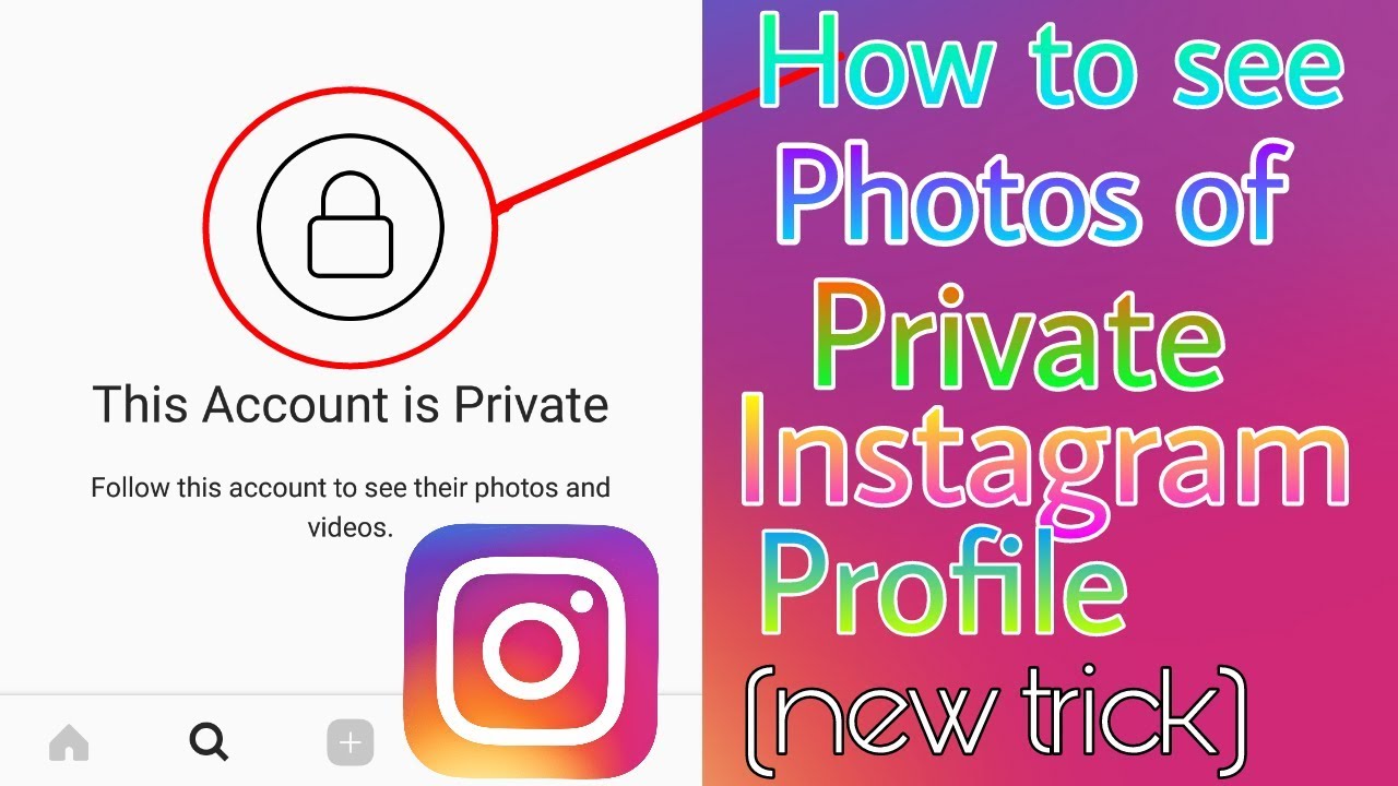 download instagram videos from private account online