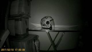 UPC-700W-IR (Body Cameras) : Egyptian darkness (0 lux) 1m Test