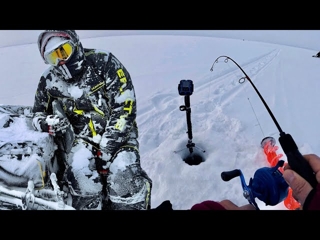 ПОТЕРЯЛИ ПАЦАНА на рыбалке! НО судак клюёт!)