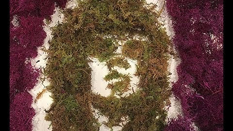 A Rolling Stone Gathers No Moss... | Art By Lindsay