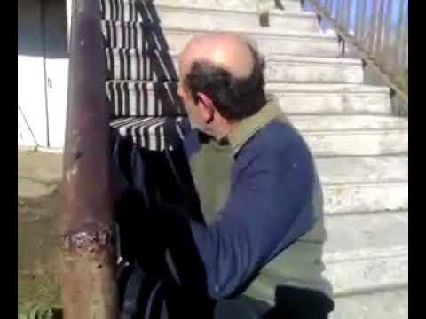 მეგრელი ცოლს აგინებს