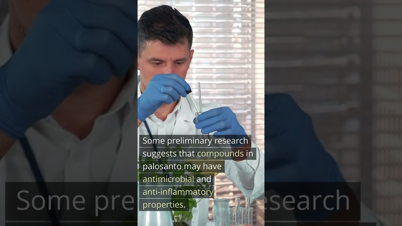 Palo Santo: Health Benefits and More - Big Fire 