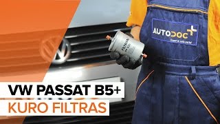 Kaip pakeisti Kuro filtras VW PASSAT B5+ [PAMOKA]