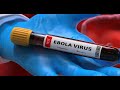 OMS alerta para escala e velocidade do surto de ebola na RDC