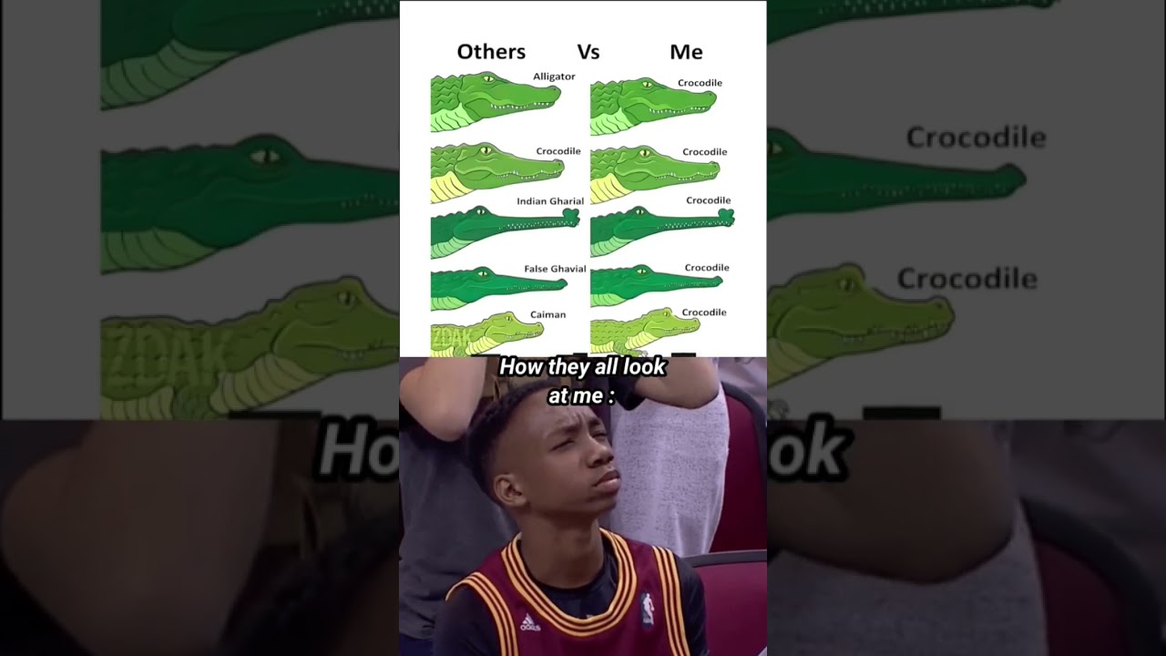 I can't tell the difference 😭