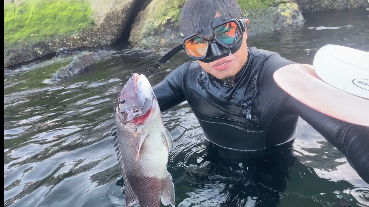 CAPTURAMOS UN PEZ CABRA 🐐 ( goat fish) 🐟 🎣 🐠