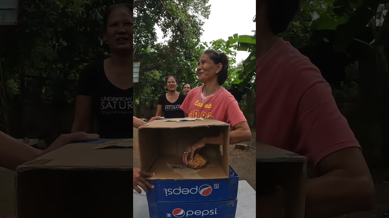 WHAT'S IN THE BOX CHALLENGE