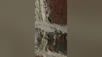 Lime pointing clay brick walls - churn brush