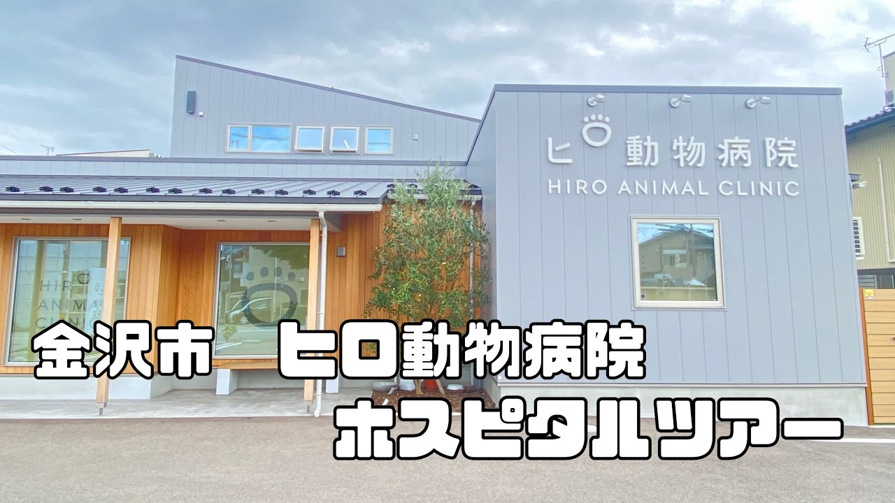 【ホスピタルツアー】石川県金沢市にあるヒロ動物病院の裏側見せちゃいます🏥✨