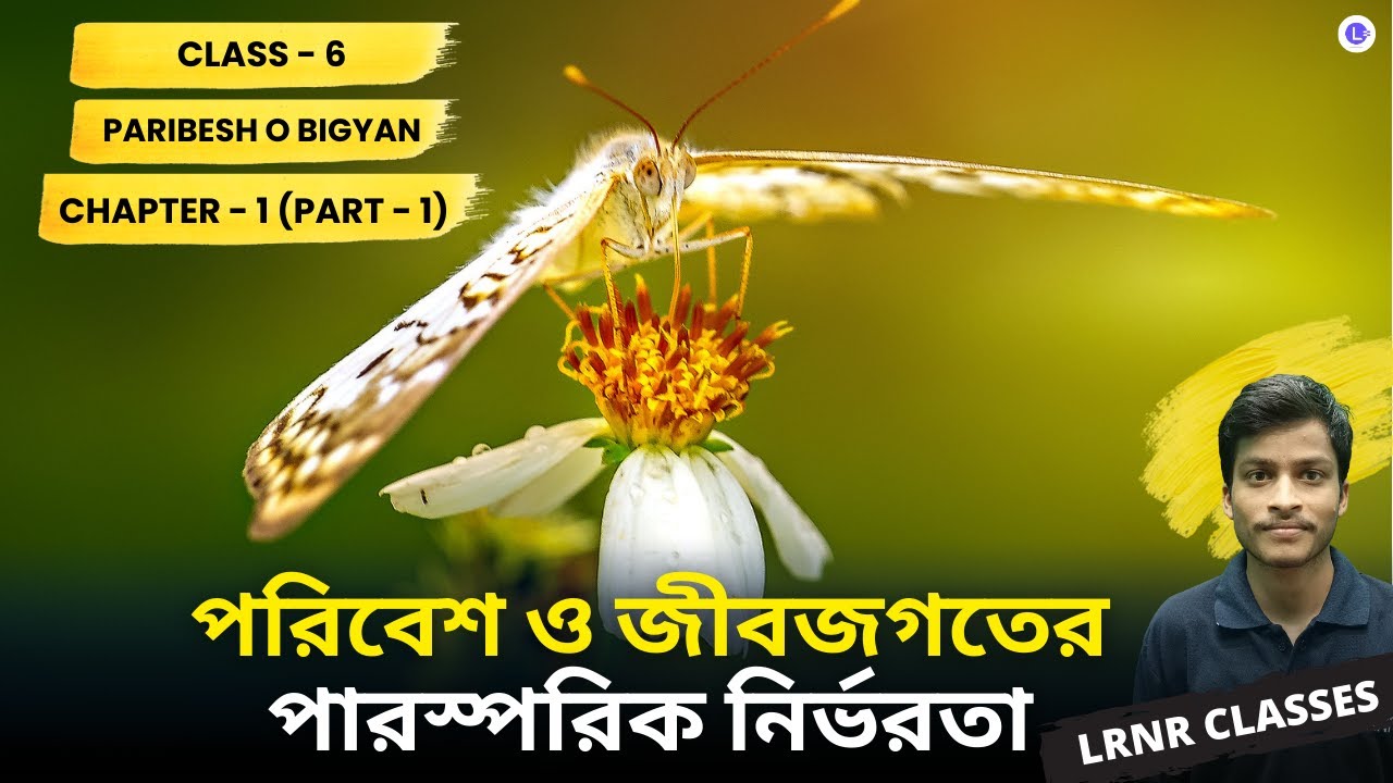 পরিবেশ ও জীবজগতের পারস্পরিক নির্ভরতা Class 6 Chapter 1 (Part-1) | LRNR Classes