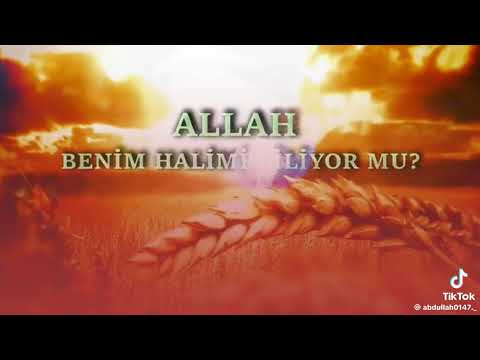 ALLAHA TEVEKKUL EDİN ŞÜPHESİZ ALLAH SİZİ DUYUYOR VE İŞİTİYOR #KUTLUDAVA