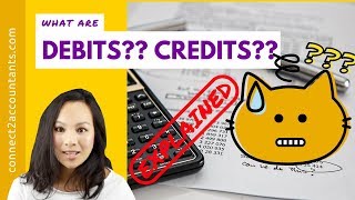 Debit Credit Explained by a CPA (Super Simple Definition)