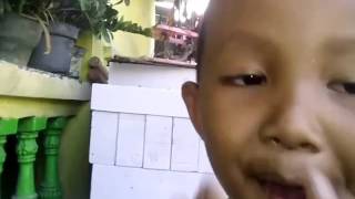 Segap nyanyi lagu pancene kowe babu