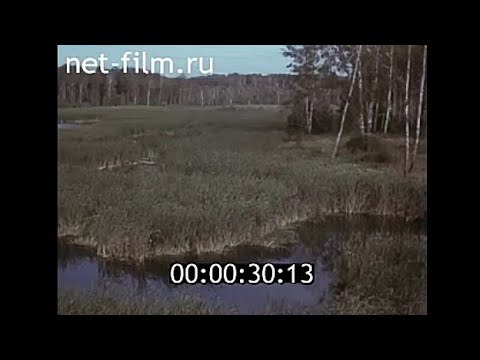 Прогрессивные методы добычи торфа (СССР, 1988), документальный фильм [12+]