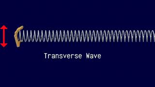 YOU WON'T BELIEVE WHAT HAPPENS TO THIS SLINKY! ( The Secret of Sound Waves!)