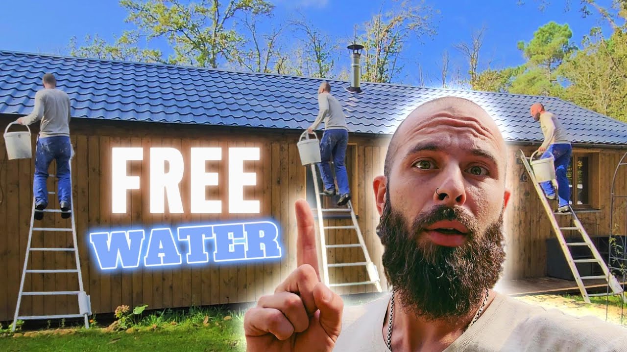 How I Clean My Gutters to Collect Rainwater and Save on Water Bills