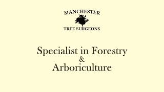 Manchester Tree Surgeons - Tree Removal with CheckATrade