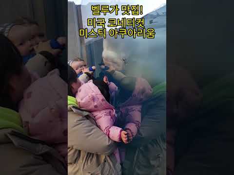 벨루가 맛집//미국 코네티컷 미스틱 아쿠아리움//벨루가 똑똑하네//라온제나보다...//그래도 사랑해//#미국가족,#벨루가,#미국아쿠아리움,#가족여행,#가족브이로그