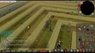 Catching Dragon Implings