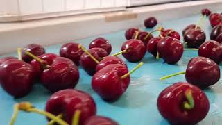 Chilean Cherries Process