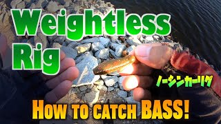 The Japanese No-Sinker Secret – Weightless Texas Rig with Imo Grub screenshot 2