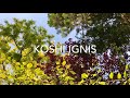 Koshi chimes  koshi ignis tuned wind chimes  koshi bells meditation music 2020