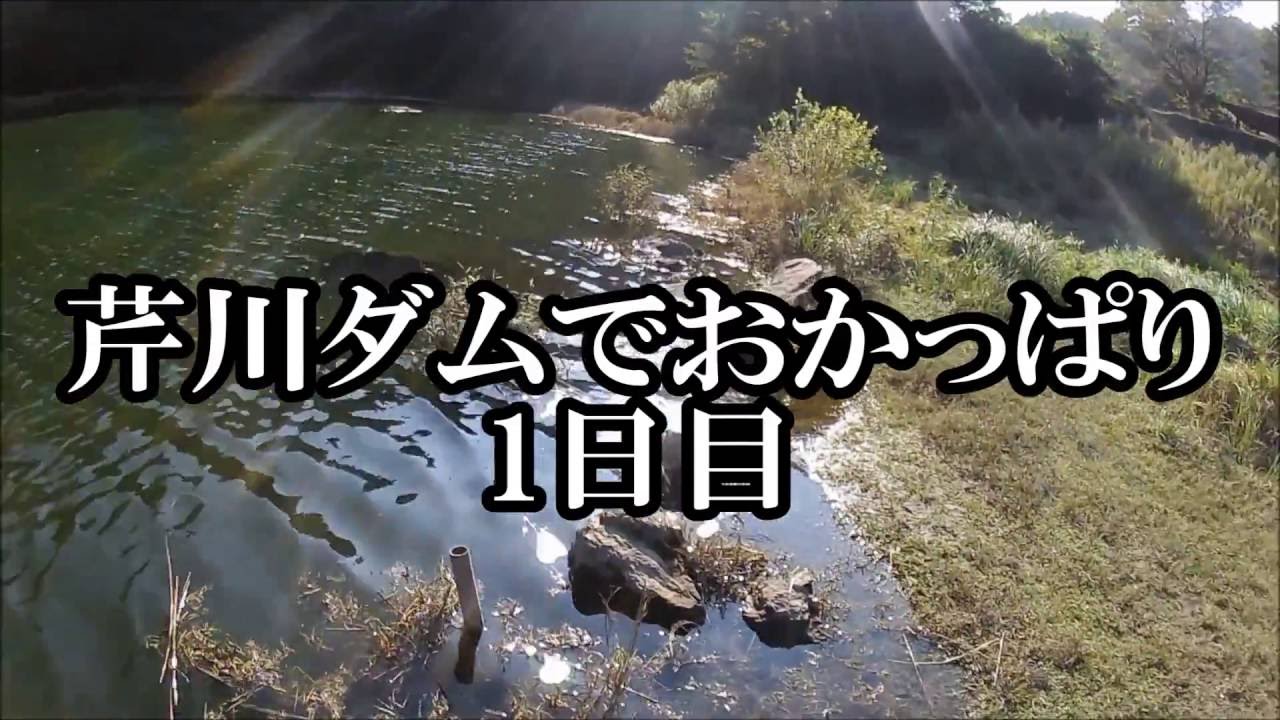 芹川ダムでおかっぱり Youtube 芹川ダムでおかっぱり Youtube
