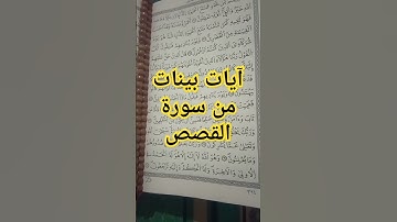 آيات بينات من #سورة_القصص #القرآن_الكريم #قرآن #اكسبلور #تيك_توك #لايك #quotes #hijab #دويتو #ترند