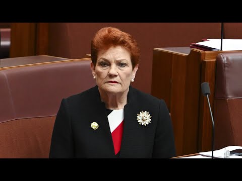 Pauline Hanson stresses need for coal-fired power to keep data centres active
