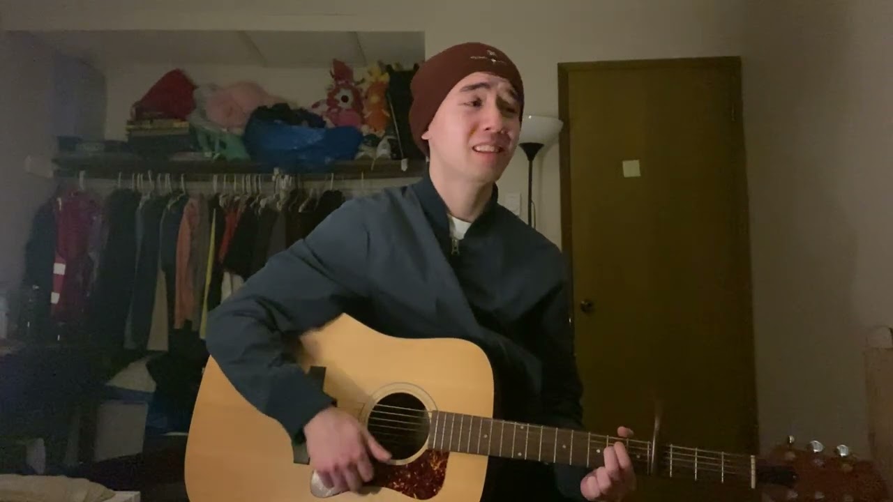 wildflower by billie eilish - cover