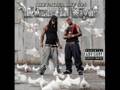 Birdman Lil Wayne Army Guns mp3