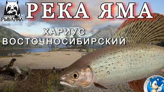 🌟РЕКА ЯМА🌟ХАРИУС ВОСТОЧНОСИБИРСКИЙ🌟Русская Рыбалка 4(РР4)🌟