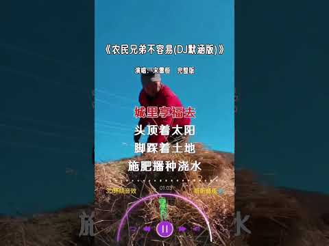 宋雷恒 的《农民兄弟不容易(DJ默涵版)》
